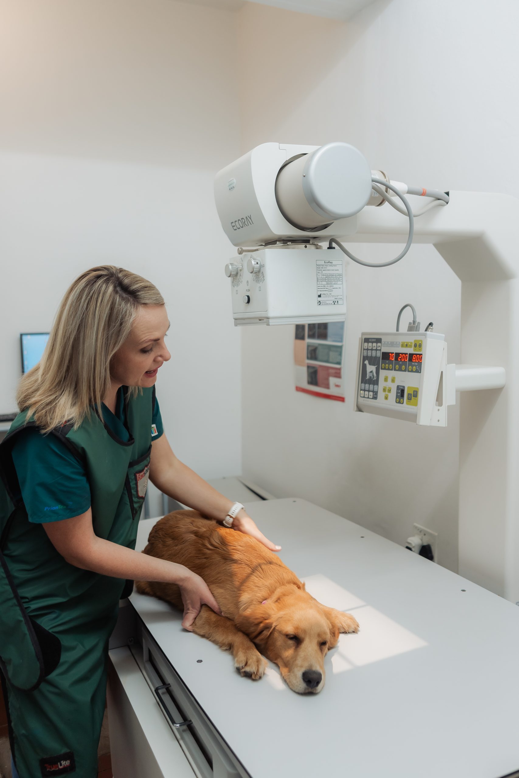 Robertson Dierekliniek - Robertson Animal Clinic